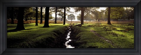 Framed Stream passing through a park, Richmond Park, London, England Print