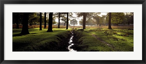 Framed Stream passing through a park, Richmond Park, London, England Print