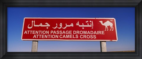 Framed Low angle view of a camel crossing signboard, Douz, Tunisia Print