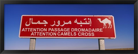 Framed Low angle view of a camel crossing signboard, Douz, Tunisia Print