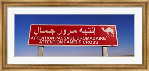 Framed Low angle view of a camel crossing signboard, Douz, Tunisia Print