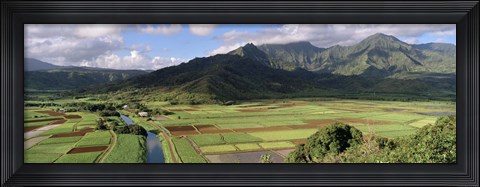 Framed High angle view of a field with mountains in the background, Hanalei Valley, Kauai, Hawaii, USA Print