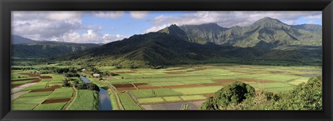 Framed High angle view of a field with mountains in the background, Hanalei Valley, Kauai, Hawaii, USA Print