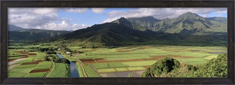 Framed High angle view of a field with mountains in the background, Hanalei Valley, Kauai, Hawaii, USA Print