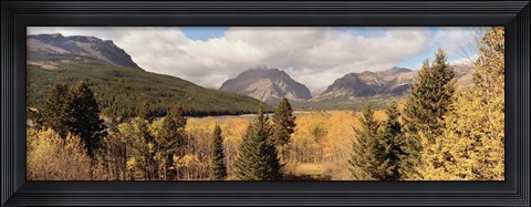 Framed Trees in a field, US Glacier National Park, Montana, USA Print