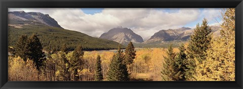 Framed Trees in a field, US Glacier National Park, Montana, USA Print