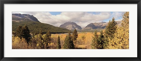 Framed Trees in a field, US Glacier National Park, Montana, USA Print