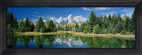 Framed Reflection of trees in water with mountains, Schwabachers Landing, Grand Teton, Grand Teton National Park, Wyoming, USA Print