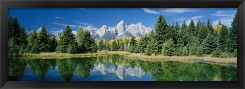 Framed Reflection of trees in water with mountains, Schwabachers Landing, Grand Teton, Grand Teton National Park, Wyoming, USA Print