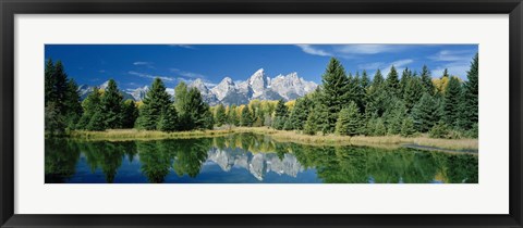 Framed Reflection of trees in water with mountains, Schwabachers Landing, Grand Teton, Grand Teton National Park, Wyoming, USA Print