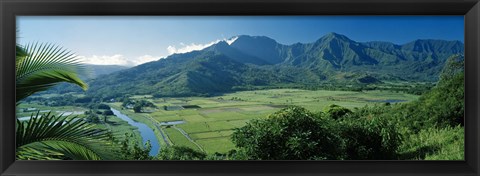 Framed High angle view of taro fields, Hanalei Valley, Kauai, Hawaii, USA Print