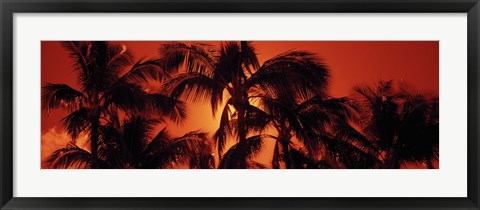 Framed Palm trees at dusk, Kalapaki Beach, Hawaii Print