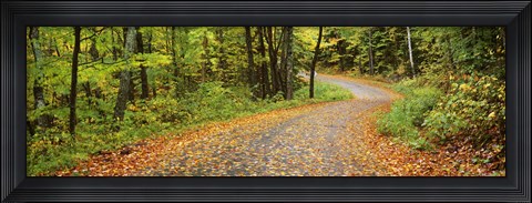 Framed Road passing through a forest, Country Road, Peacham, Caledonia County, Vermont, USA Print