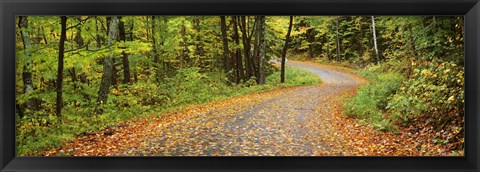 Framed Road passing through a forest, Country Road, Peacham, Caledonia County, Vermont, USA Print