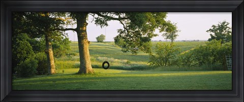 Framed Tire swing on a tree Print