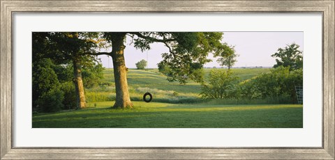 Framed Tire swing on a tree Print