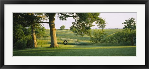 Framed Tire swing on a tree Print