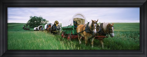 Framed Historical reenactment, Covered wagons in a field, North Dakota, USA Print