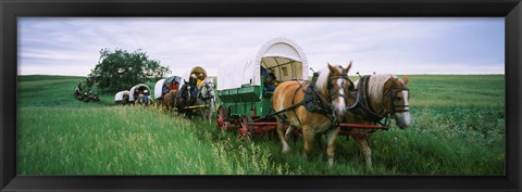 Framed Historical reenactment, Covered wagons in a field, North Dakota, USA Print