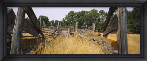 Framed Ranch cattle chute in a field, North Dakota, USA Print