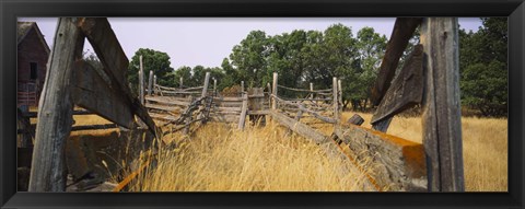 Framed Ranch cattle chute in a field, North Dakota, USA Print