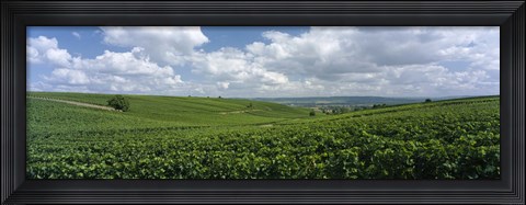 Framed Clouds over vineyards, Mainz, Rhineland-Palatinate, Germany Print