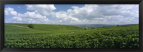 Framed Clouds over vineyards, Mainz, Rhineland-Palatinate, Germany Print