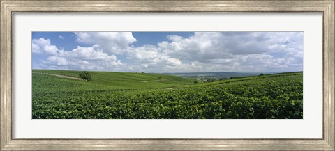 Framed Clouds over vineyards, Mainz, Rhineland-Palatinate, Germany Print