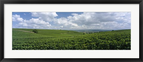 Framed Clouds over vineyards, Mainz, Rhineland-Palatinate, Germany Print