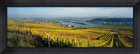 Framed Vineyards near a town, Rudesheim, Rheingau, Germany Print