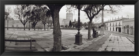 Framed Trees in front of a building, Alameda Vieja, Jerez, Cadiz, Spain Print