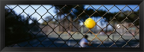 Framed Close-up of a tennis ball stuck in a fence, San Francisco, California, USA Print