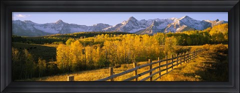 Framed Trees in a field near a wooden fence, Dallas Divide, San Juan Mountains, Colorado Print