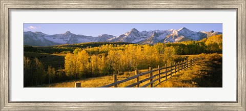 Framed Trees in a field near a wooden fence, Dallas Divide, San Juan Mountains, Colorado Print