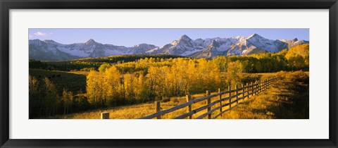 Framed Trees in a field near a wooden fence, Dallas Divide, San Juan Mountains, Colorado Print