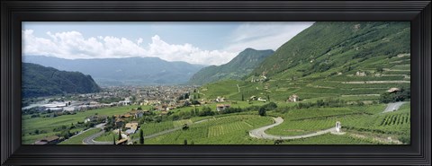 Framed Curved road passing through a landscape, Bolzano, Alto Adige, Italy Print