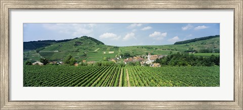Framed Vineyards near a village, Oberbergen, Der Vogelsangpass, Bereich Kaiserstuhl, Baden-Wurttemberg, Germany Print