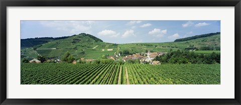 Framed Vineyards near a village, Oberbergen, Der Vogelsangpass, Bereich Kaiserstuhl, Baden-Wurttemberg, Germany Print