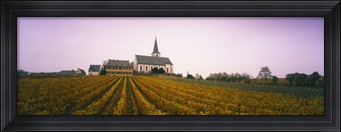 Framed Vineyard with a church in the background, Hochheim, Rheingau, Germany Print