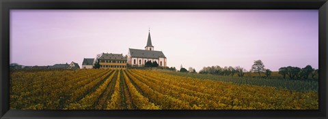 Framed Vineyard with a church in the background, Hochheim, Rheingau, Germany Print