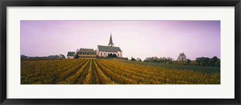 Framed Vineyard with a church in the background, Hochheim, Rheingau, Germany Print