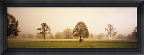 Framed Fog covered trees in a field, Baden-Wurttemberg, Germany Print