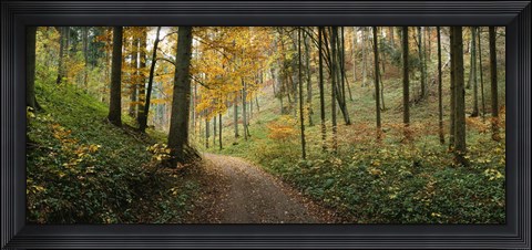 Framed Road passing through a forest, Baden-Wurttemberg, Germany Print