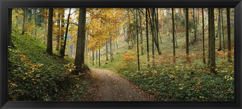 Framed Road passing through a forest, Baden-Wurttemberg, Germany Print