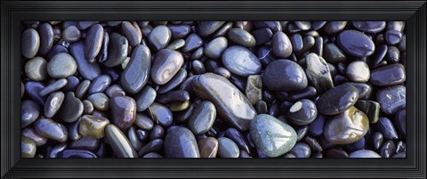 Framed Close-up of pebbles, Sandymouth Beach, Cornwall, England Print