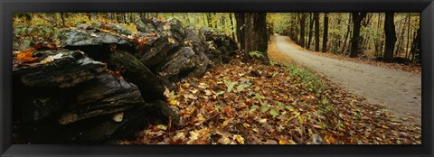 Framed Road passing through a forest, White Mountains, New Hampshire Print