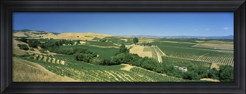 Framed Carneros District, Napa Valley, Napa County, California Print