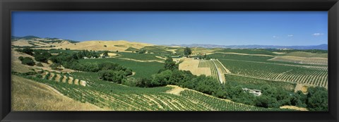 Framed Carneros District, Napa Valley, Napa County, California Print