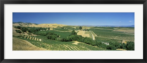 Framed Carneros District, Napa Valley, Napa County, California Print