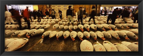 Framed Tuna auction at a fish market, Tsukiji Fish Market, Chuo Ward, Tsukiji, Tokyo Prefecture, Kanto Region, Honshu, Japan Print